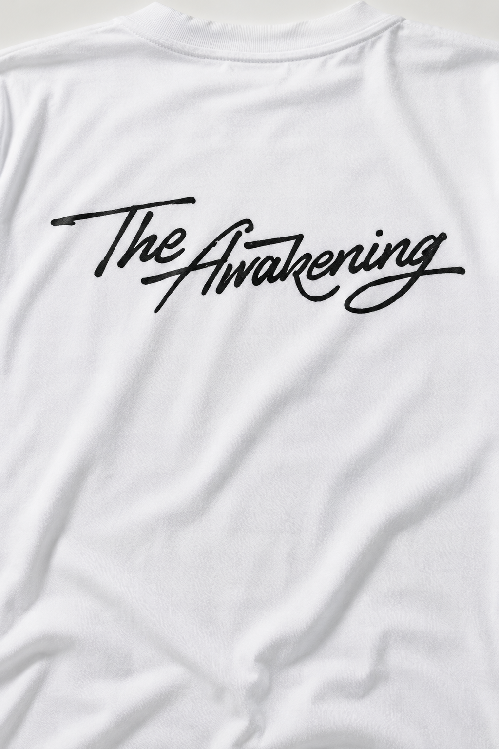 The awakening oversized classic t-shirt